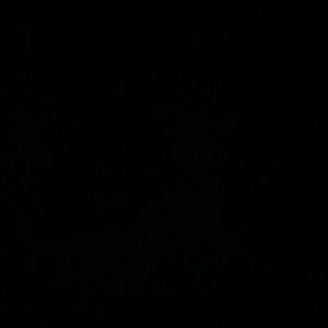 Meet your Posher, Bennett